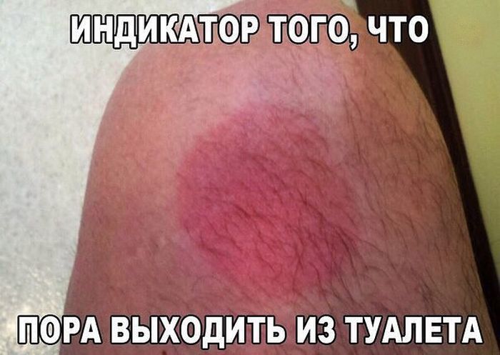 Подборка легкого юмора
