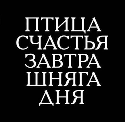 Подборка легкого юмора
