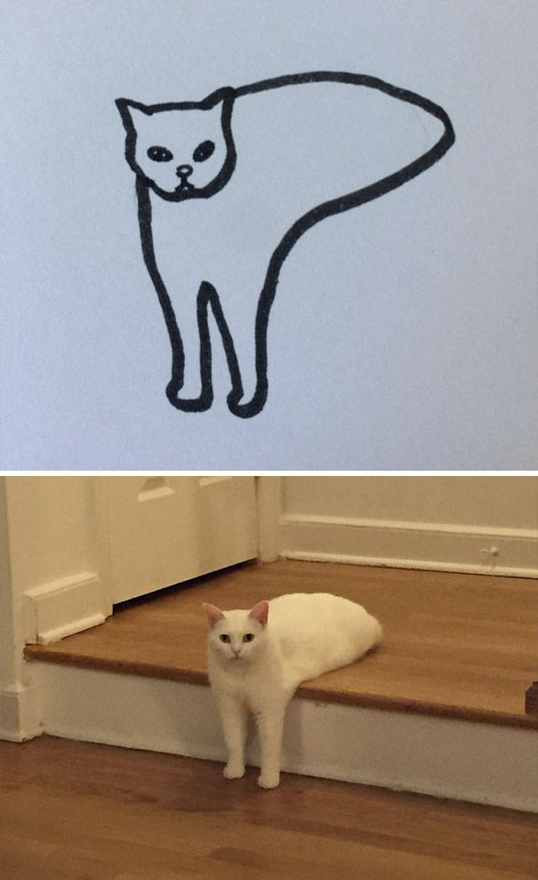 Прикольные рисунки котов