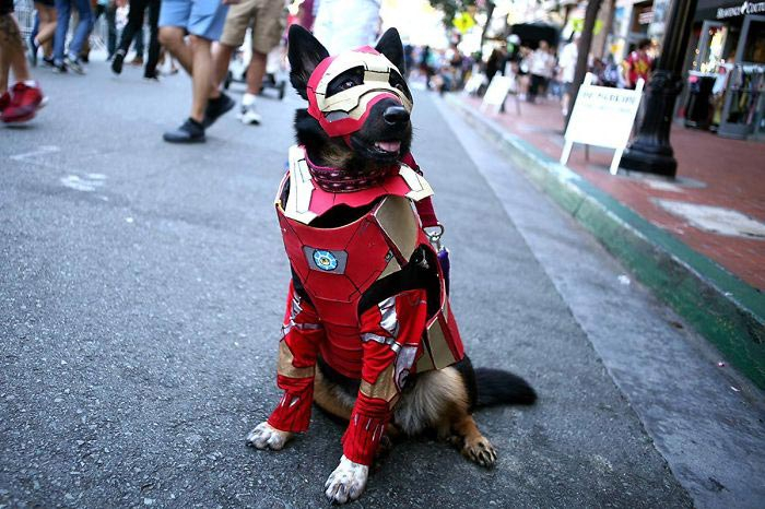 Это лучшие косплеи с Comic-Con 2018, а Дэдпул выглядит слишком реалистично Это лучшие косплеи с Comic-Con 2018, а Дэдпул выглядит слишком реалистично
