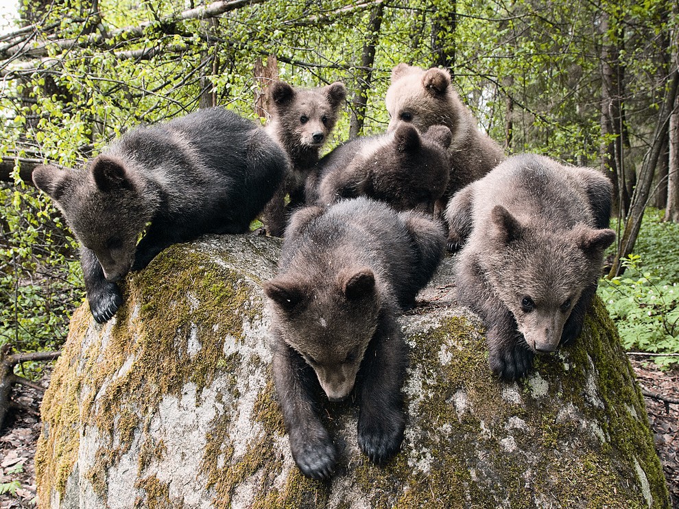 Лучшие фотографии августа 2012 от National Geographic (28 фото)