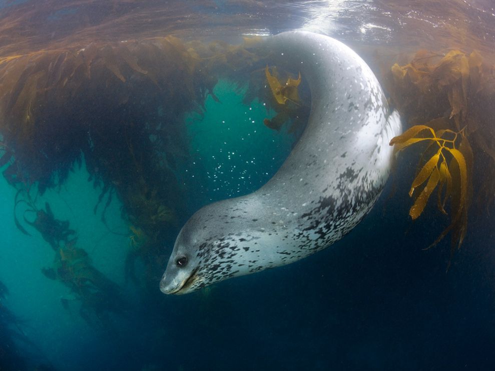 Лучшие фотографии августа 2012 от National Geographic (28 фото)