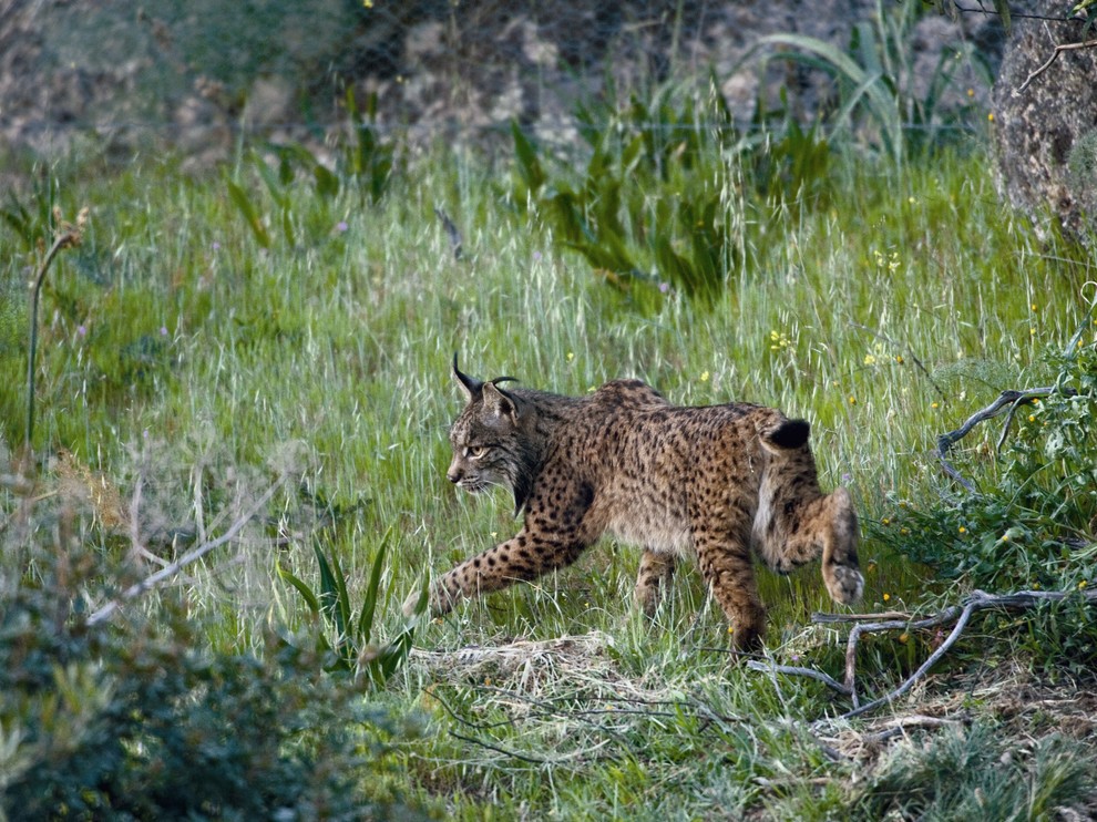 Лучшие фотографии августа 2012 от National Geographic (28 фото)