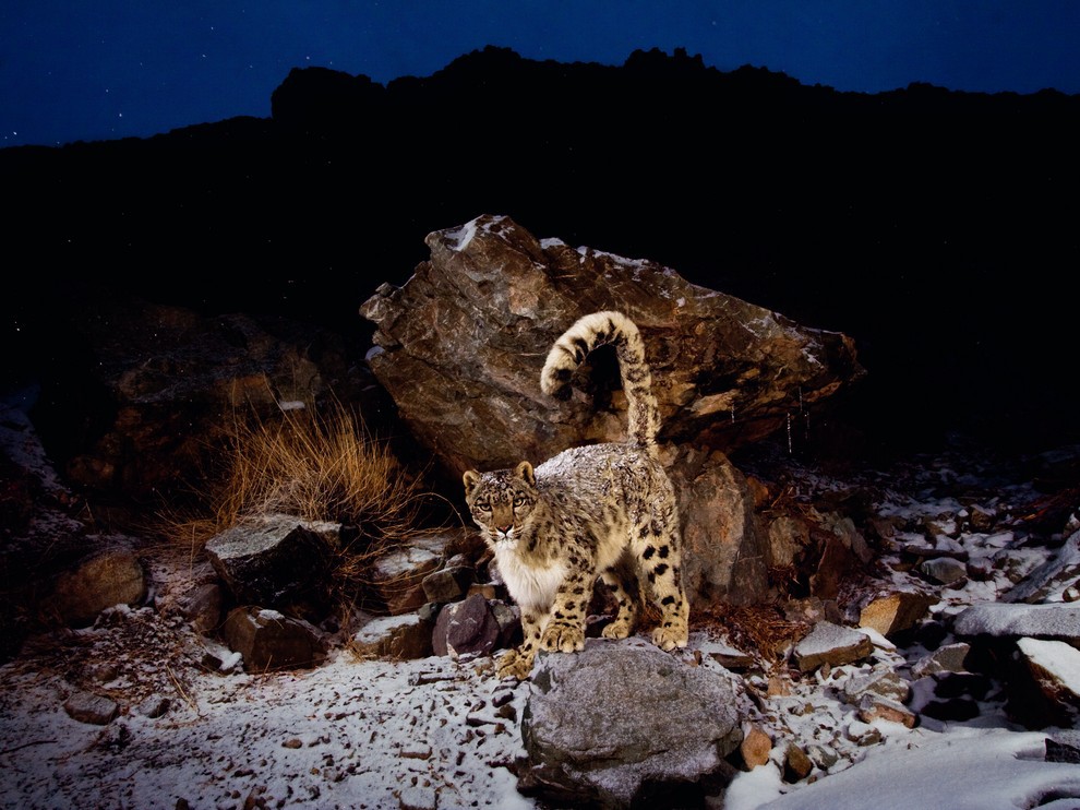 Лучшие фотографии августа 2012 от National Geographic (28 фото)