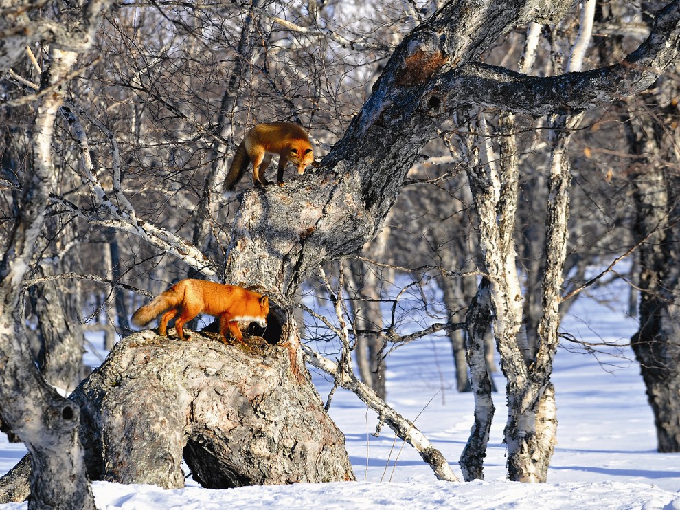 Лучшие фотографии августа 2012 от National Geographic (28 фото)