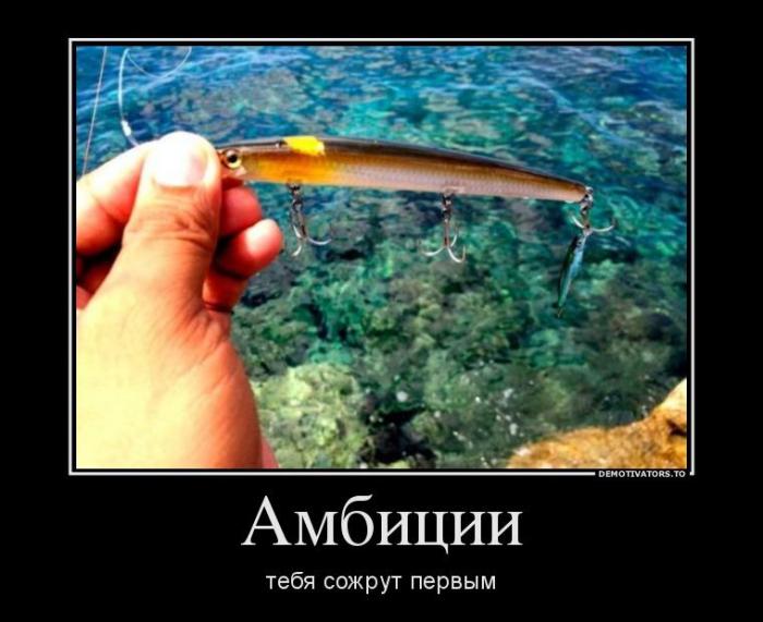 Демотиваторы (54 фото)