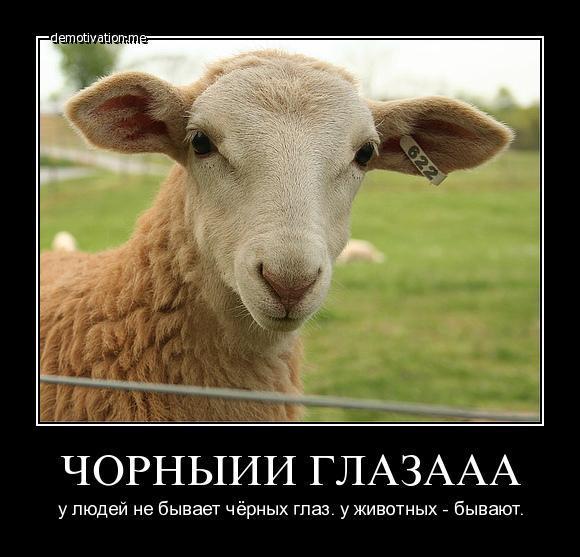 Демотиваторы (54 фото)