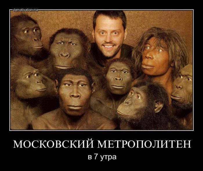 Демотиваторы (54 фото)
