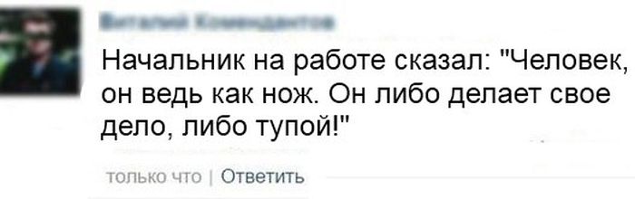 Порция картинок