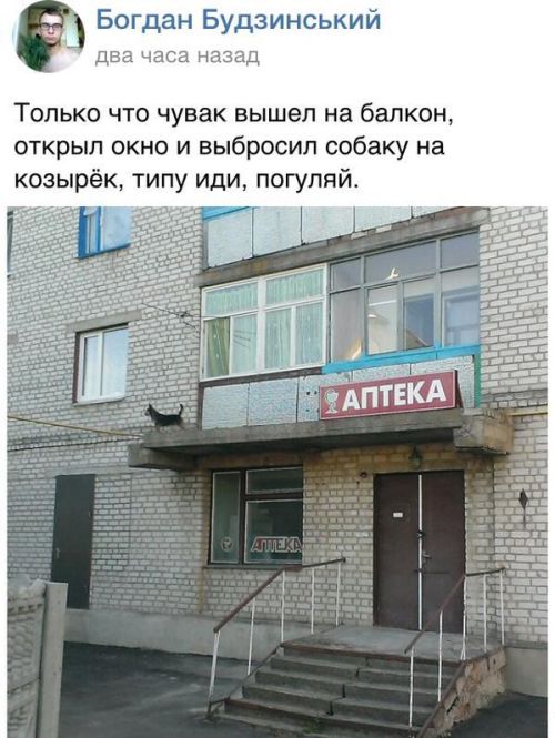 Порция картинок