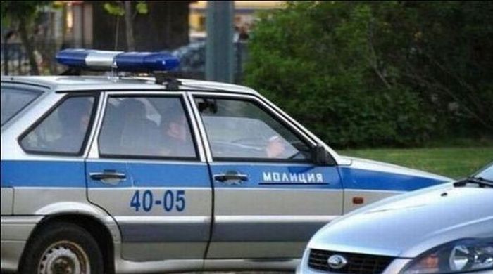 Порция картинок