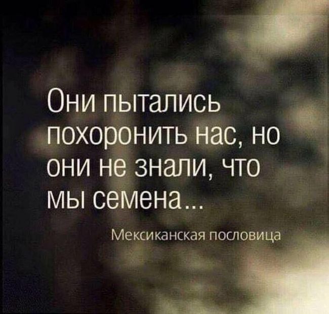 Порция картинок