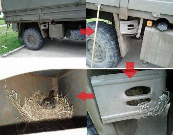 Автомобильные приколы