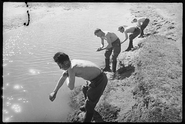 Архивные снимки Второй мировой войны, сделанные советским фотокорреспондентом Архивные снимки Второй мировой войны, сделанные советским фотокорреспондентом