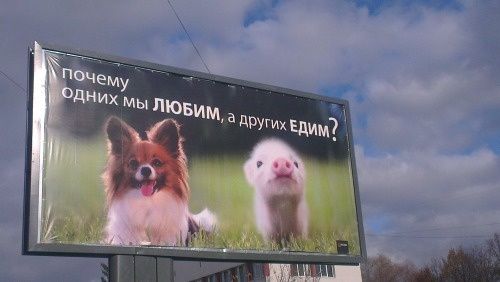Народные маразмы Народные маразмы