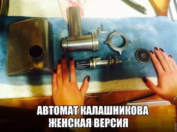 Прикольные картинки