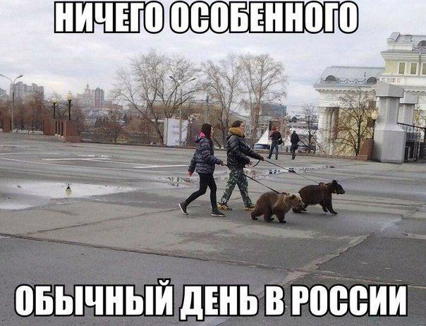 Прикольные картинки