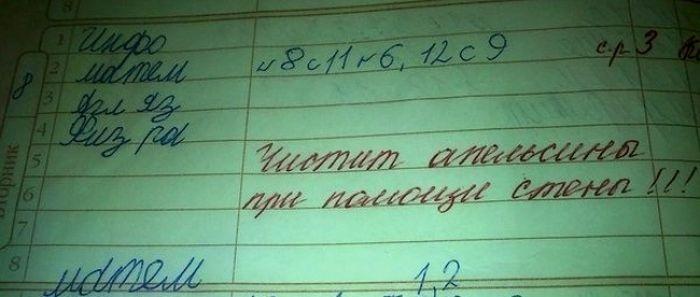 Странные замечания на страницах школьных дневников