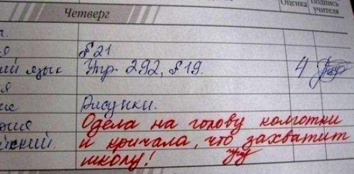 Странные замечания на страницах школьных дневников