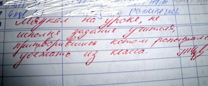 Странные замечания на страницах школьных дневников