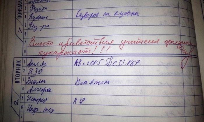 Странные замечания на страницах школьных дневников