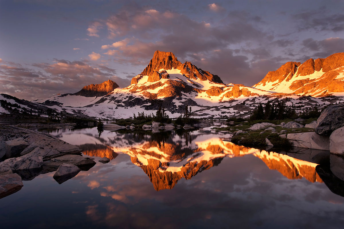 Восхитительная дикая природа в фотографиях с конкурса «Wilderness Forever»