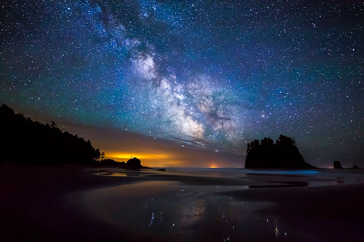 Восхитительная дикая природа в фотографиях с конкурса «Wilderness Forever»