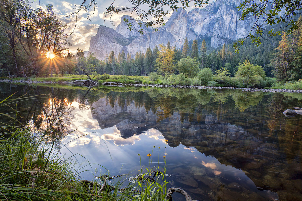 Восхитительная дикая природа в фотографиях с конкурса «Wilderness Forever»