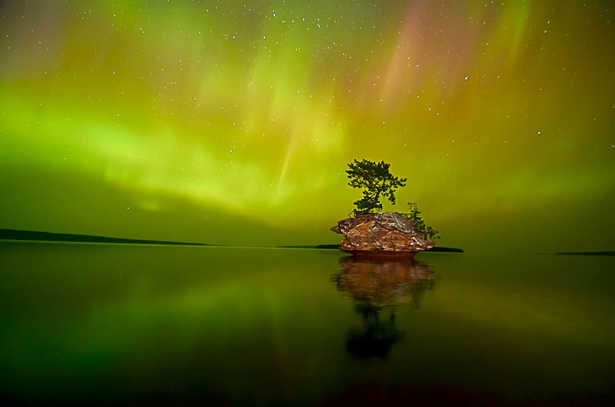 Восхитительная дикая природа в фотографиях с конкурса «Wilderness Forever»