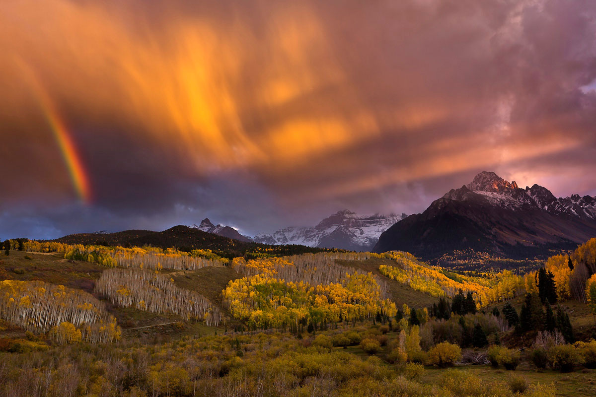 Восхитительная дикая природа в фотографиях с конкурса «Wilderness Forever»