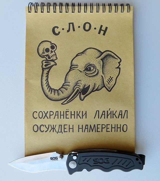 Свежие эскизы тюремных тату с учетом статьи за лайки и репосты
