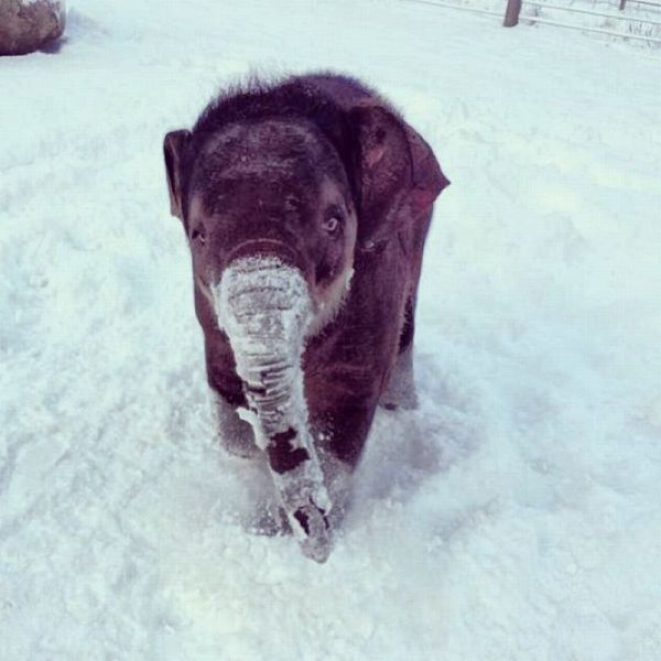 Удивительные фотографии со всего света