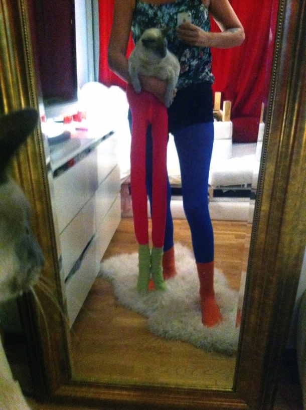 Коты в колготках