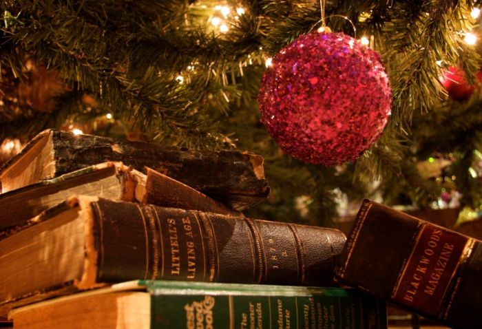ТОП-10 книг, которые создадут новогоднее настроение ТОП-10 книг, которые создадут новогоднее настроение