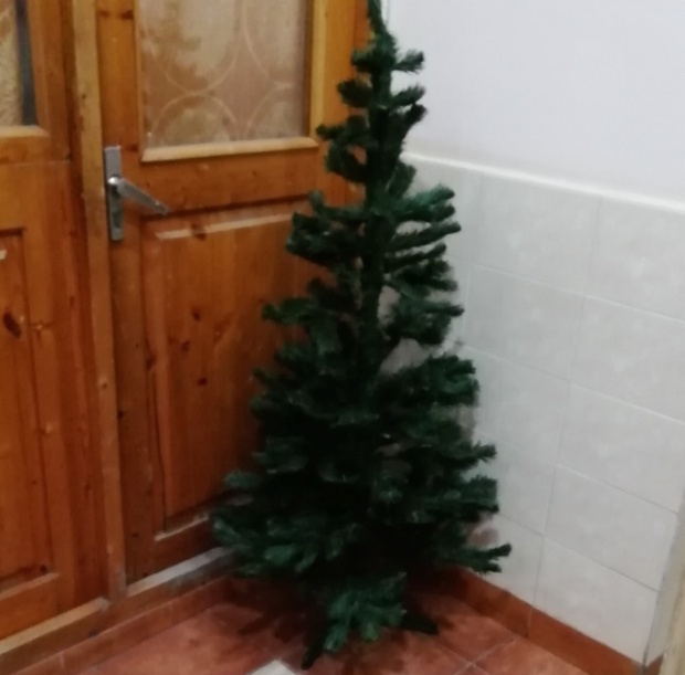 Новогоднее настроение, которое создают соседи