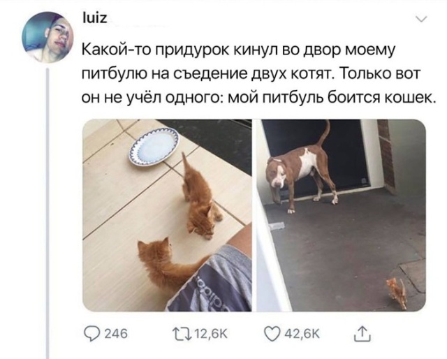 Подборка картинок