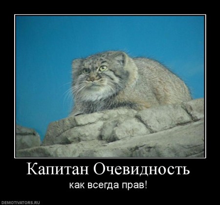 Подборка про манулов