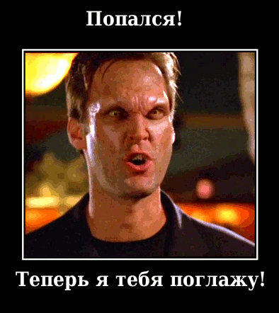 Подборка про манулов