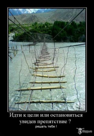Демотиваторы