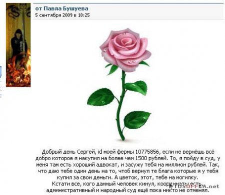Где мой третий уровень обаяния и свинья девятого уровня?