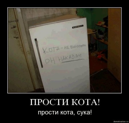 Подборка про манулов