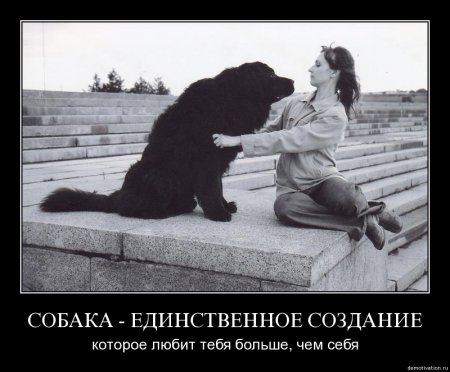 демотиваторы (38 фото)