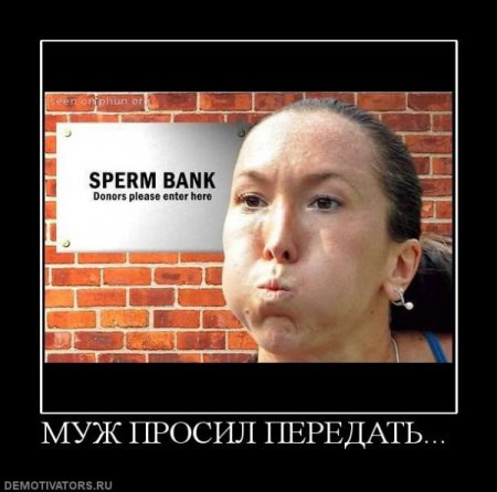 демотиваторы (38 фото)