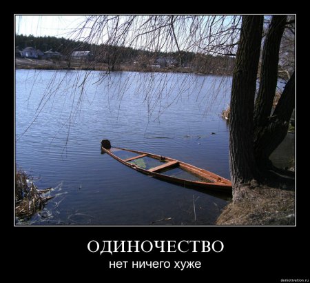 демотиваторы (38 фото)