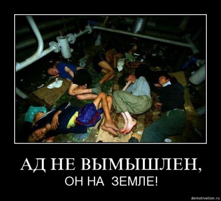 демотиваторы (38 фото)