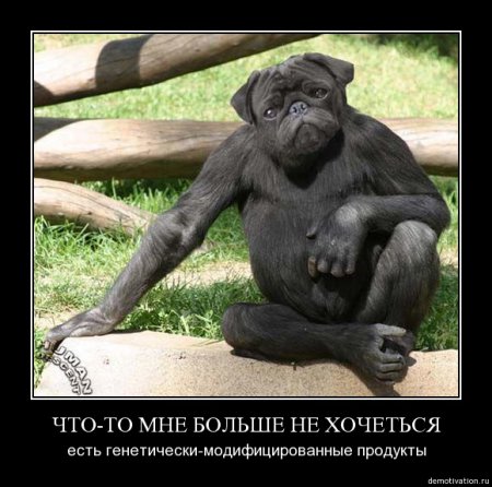 демотиваторы (38 фото)