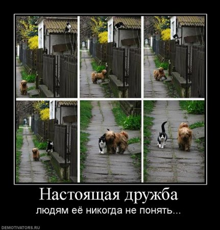Демотиваторы... со смыслом...