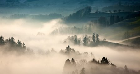 Фотограф Ricardo Gomez