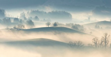 Фотограф Ricardo Gomez