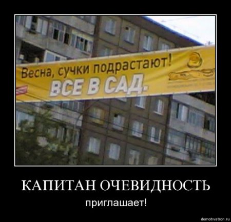 Капитан Очевидность